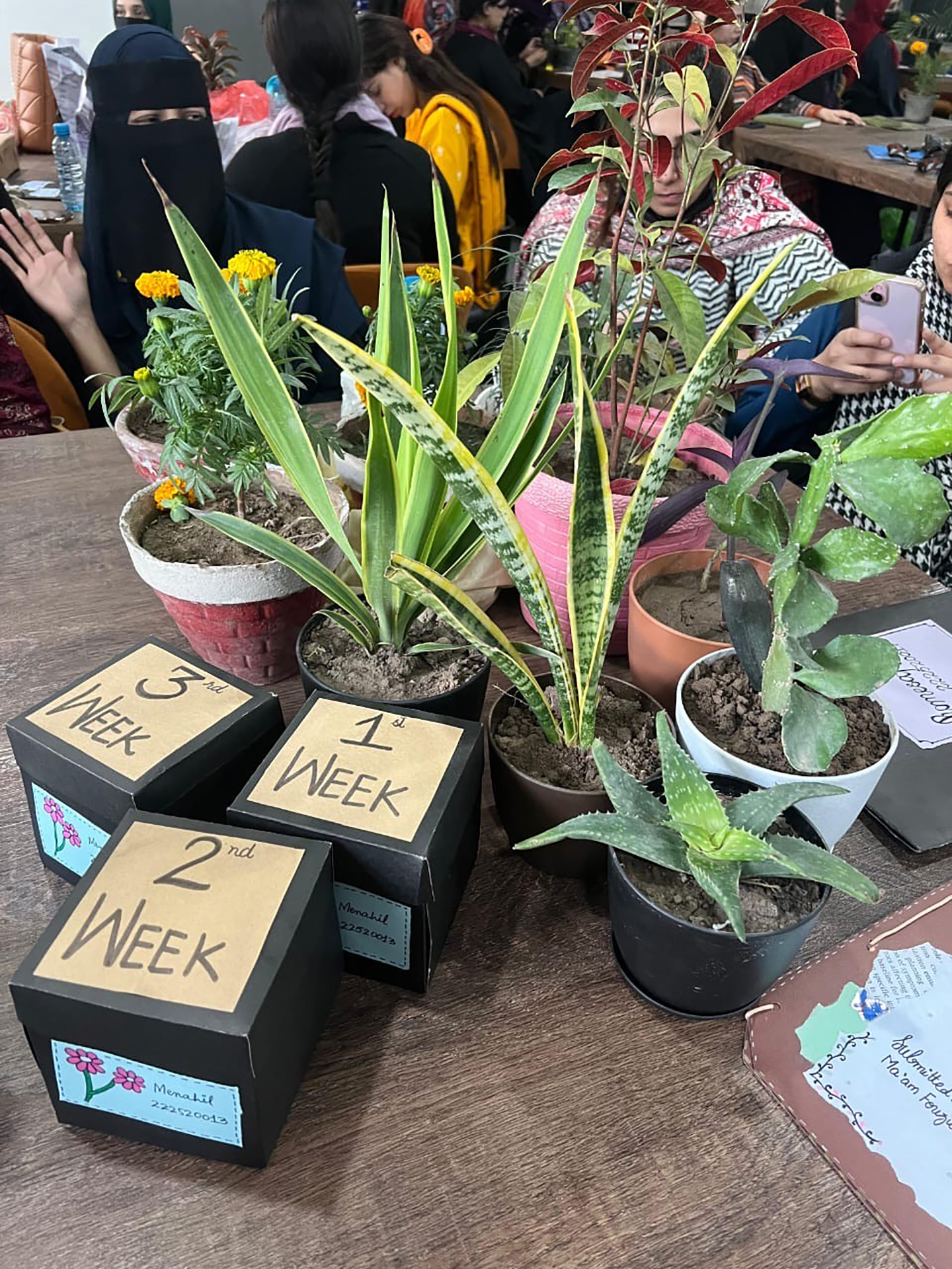 Flower Arrangement Display July 3 & 4 2025 (2)